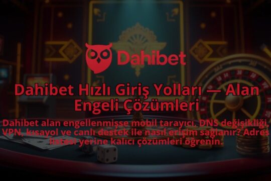 Dahibet-Hizli-Giris-Yollari-Alan-Engeli-Cozumleri-1786642082.jpg
